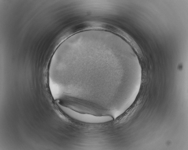 X0000116450858201001191551