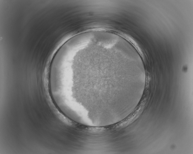 X0000116450859201001191551