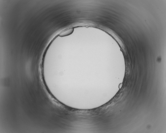 X0000116450861201001191551