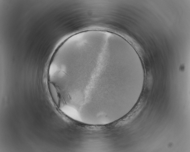 X0000116450862201001191551