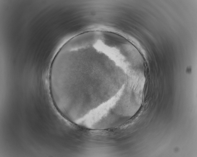 X0000116450863201001191551