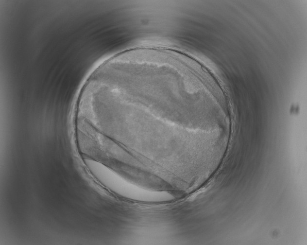 X0000116450864201001191551