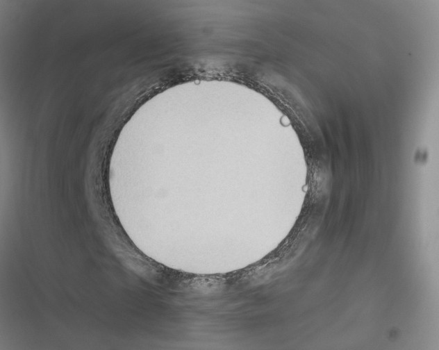 X0000116450865201001191551