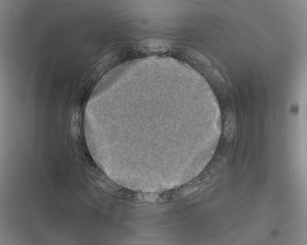X0000116450866201001191551