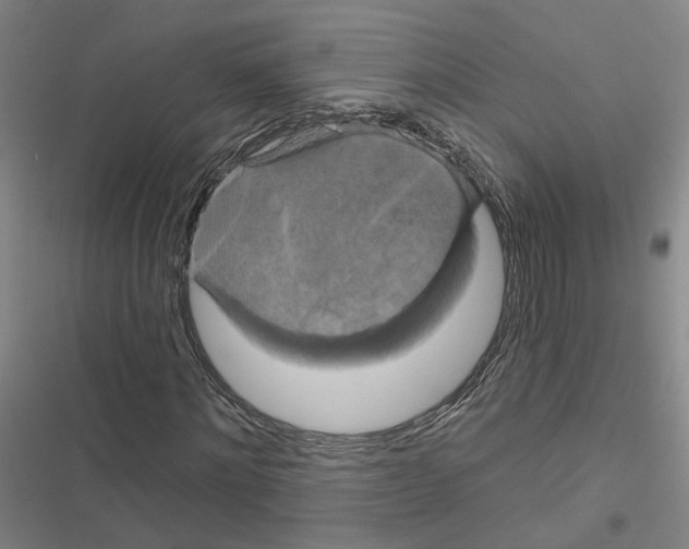X0000116450868201001191551