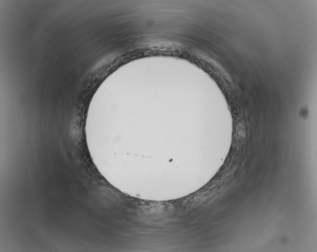 X0000116450869201001191550