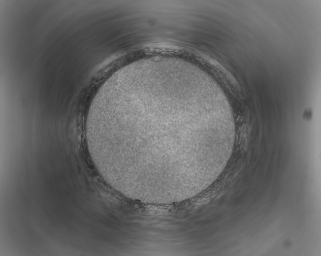 X0000116450870201001191550