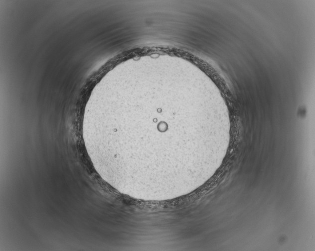 X0000116450871201001191550