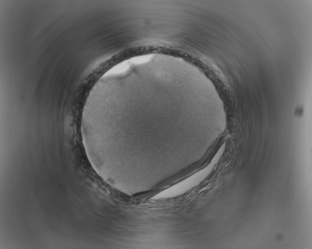 X0000116450872201001191550