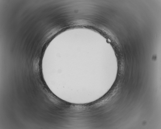 X0000116450873201001191550
