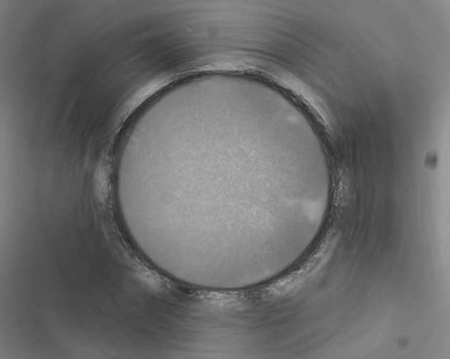 X0000116450874201001191550