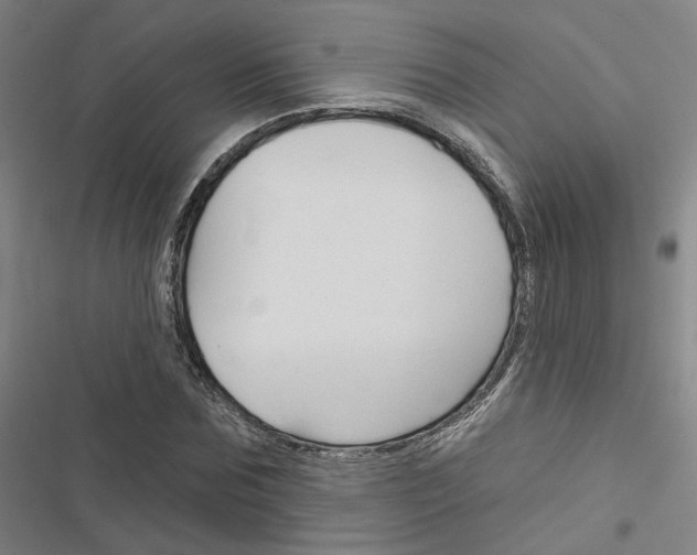 X0000116450875201001191550