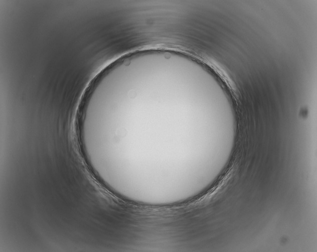 X0000116450876201001191550