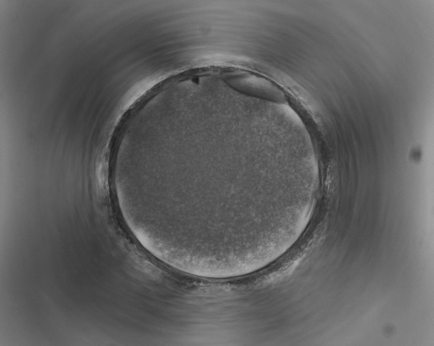 X0000116450877201001191550