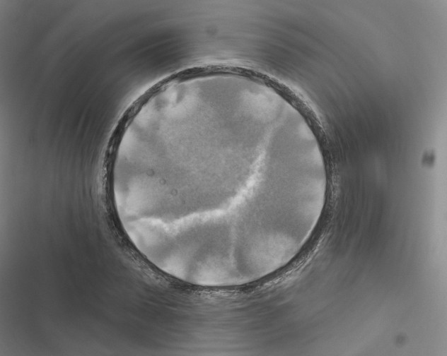X0000116450879201001191550