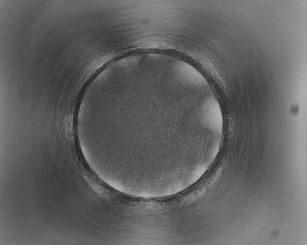 X0000116450881201001191550