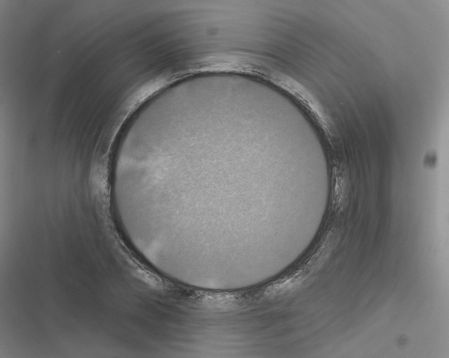 X0000116450882201001191550