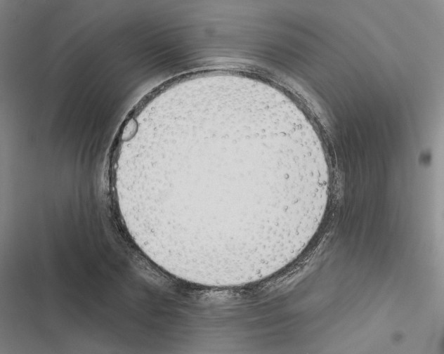 X0000116450883201001191550
