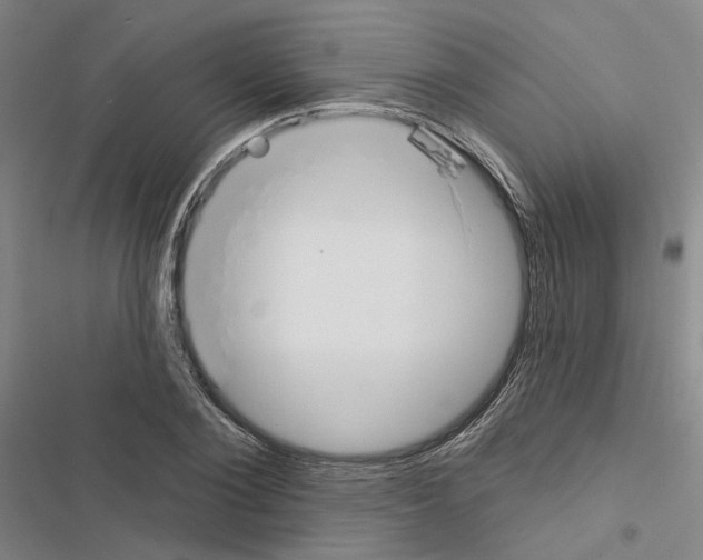 X0000116450884201001191550