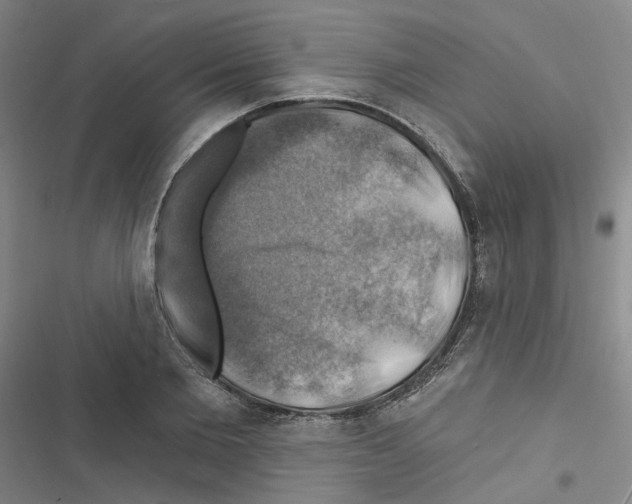 X0000116450885201001191550