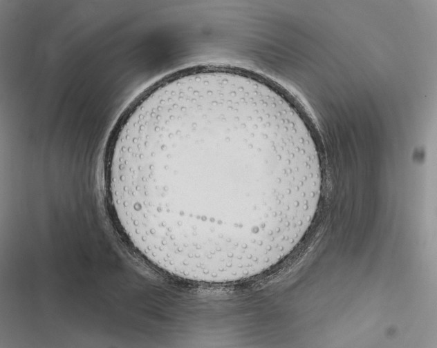 X0000116450887201001191550