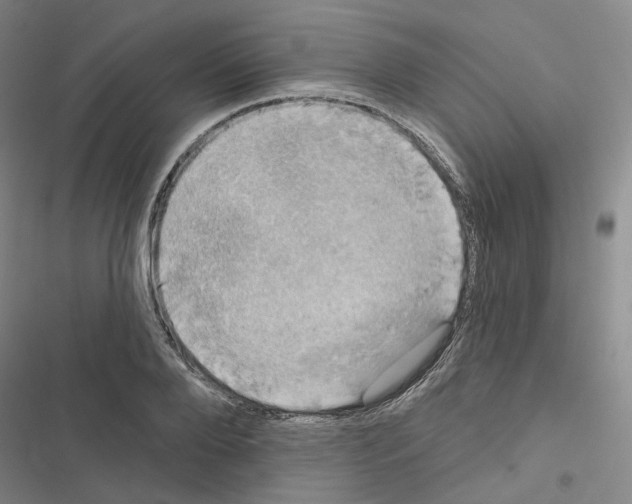 X0000116450888201001191550