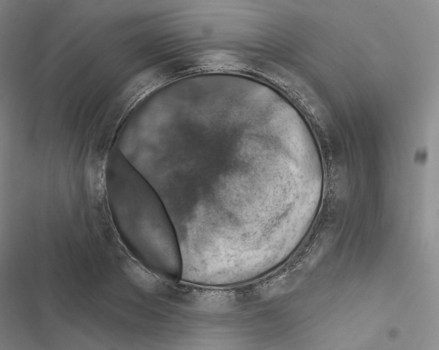 X0000116450889201001191550