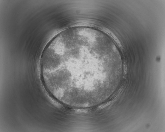 X0000116450890201001191550