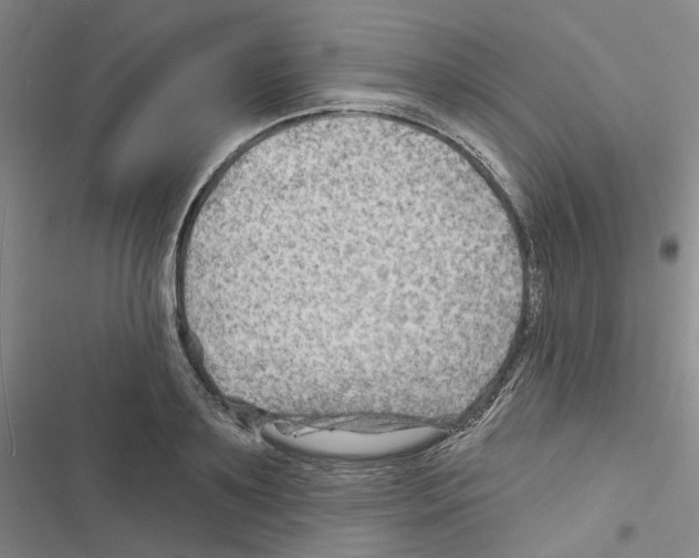 X0000116450891201001191550