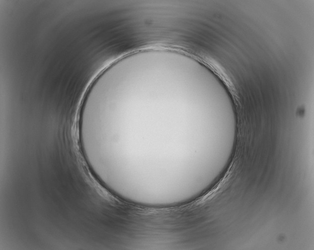 X0000116450892201001191550