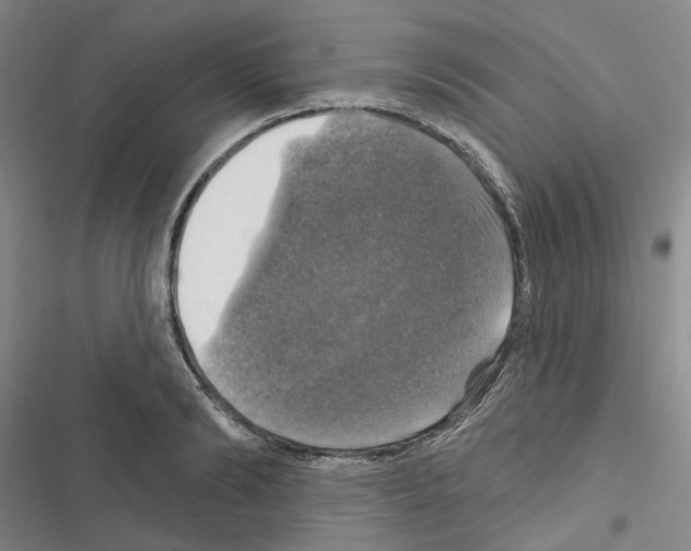 X0000116450894201001191550