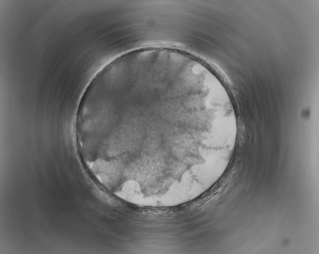 X0000116450895201001191550