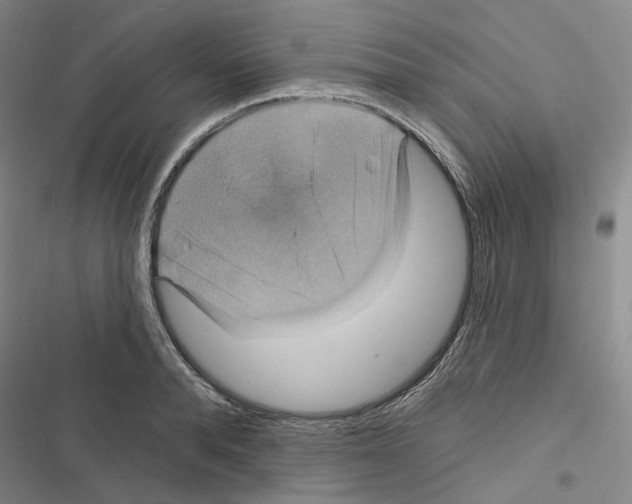 X0000116450896201001191550