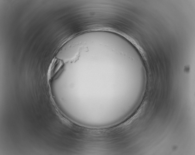 X0000116450897201001191550