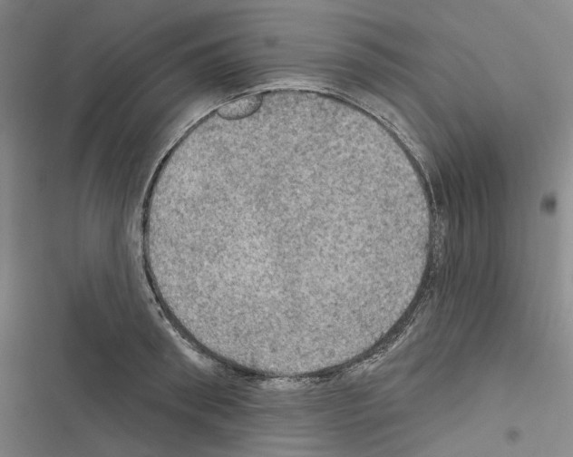 X0000116450898201001191550