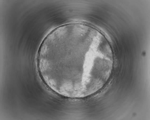 X0000116450899201001191550