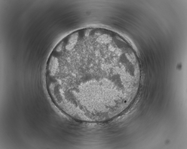X0000116450903201001191550