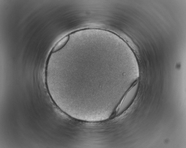 X0000116450904201001191550