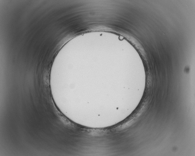 X0000116450905201001191550