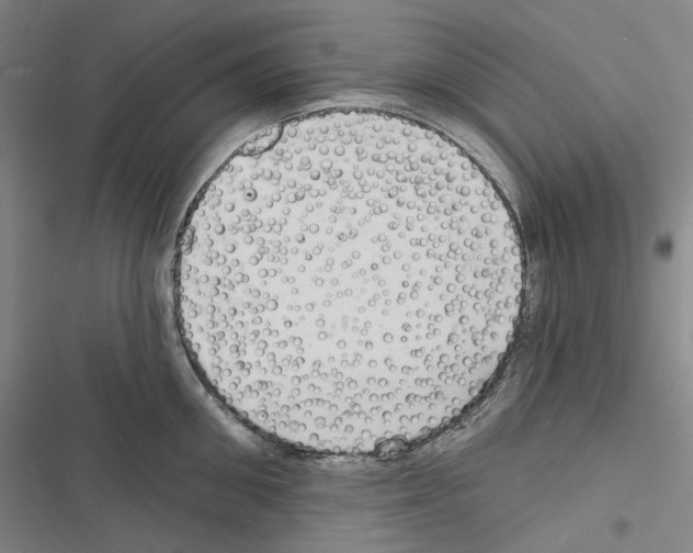 X0000116450906201001191550