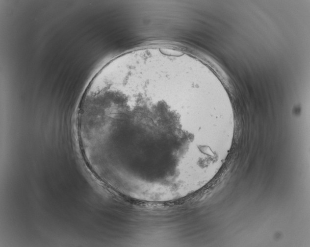 X0000116450907201001191550
