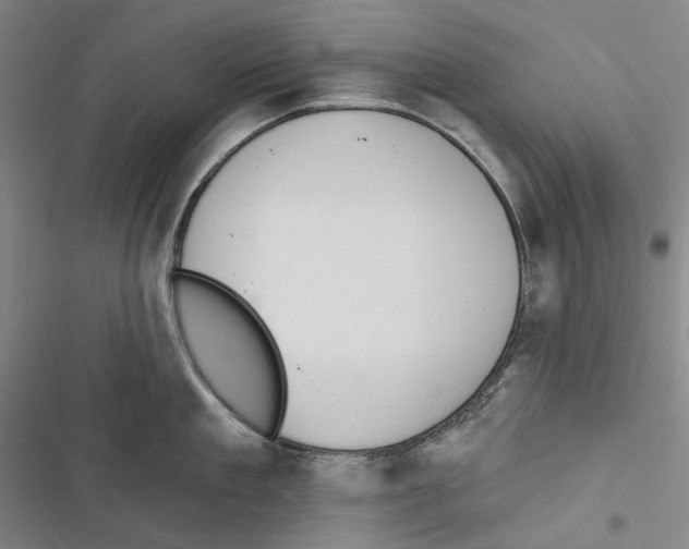 X0000116450909201001191550