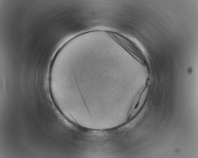 X0000116450910201001191550