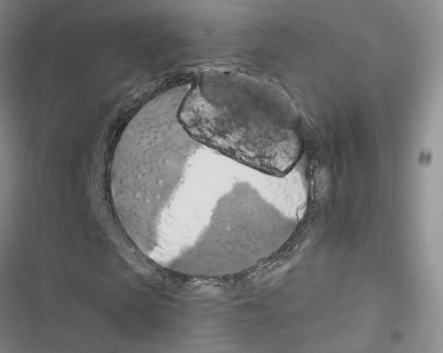 X0000116450913201001191549