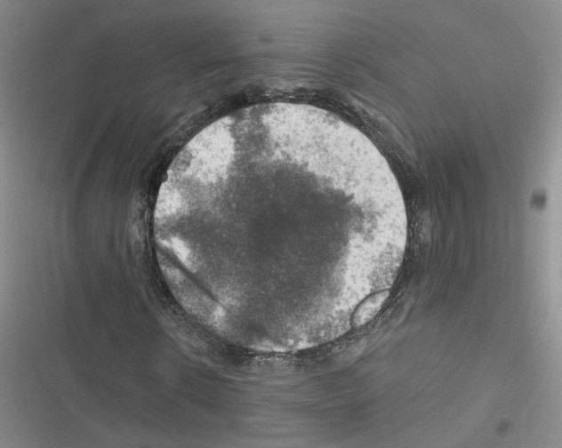 X0000116450914201001191549