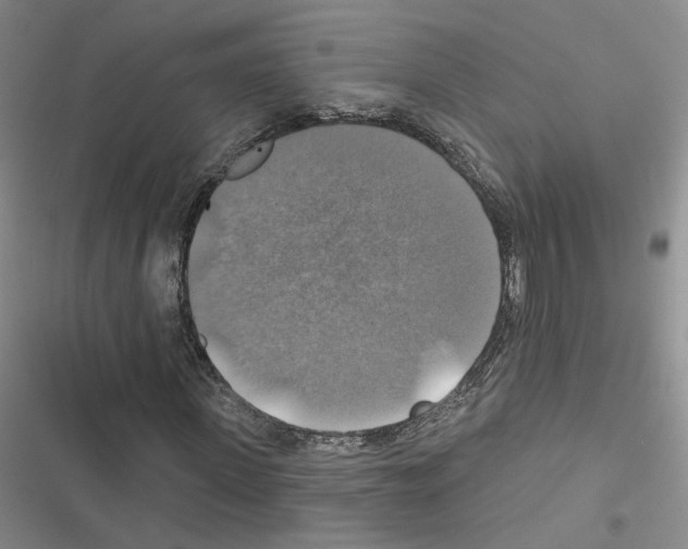 X0000116450915201001191549