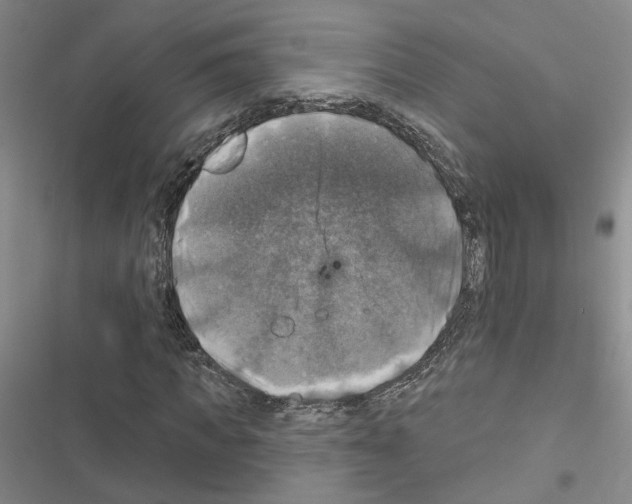X0000116450917201001191549