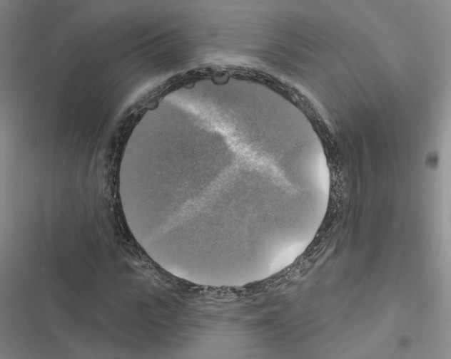 X0000116450919201001191549