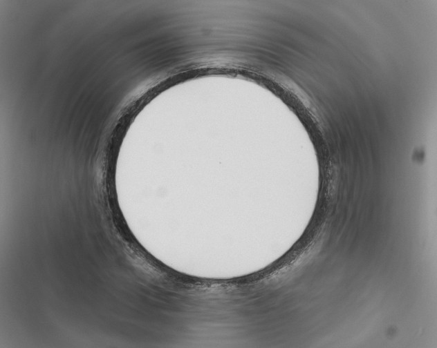 X0000116450922201001191549