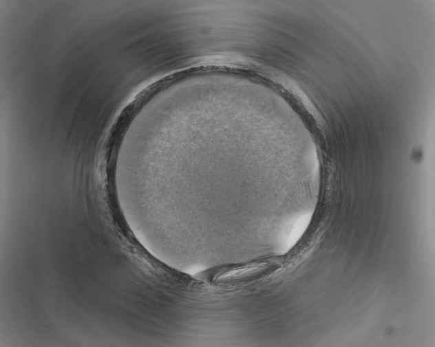 X0000116450923201001191549